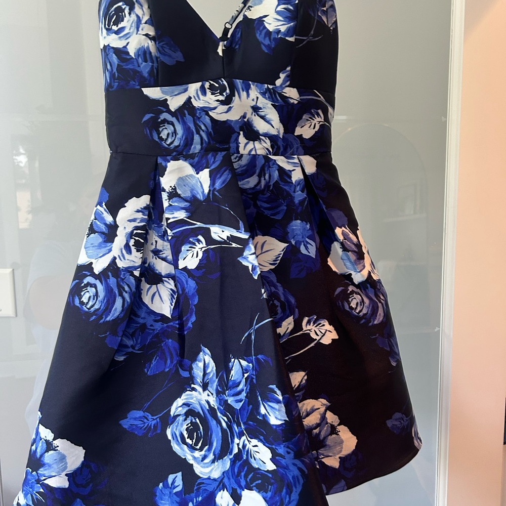 Windsor Blue and White Floral Dress